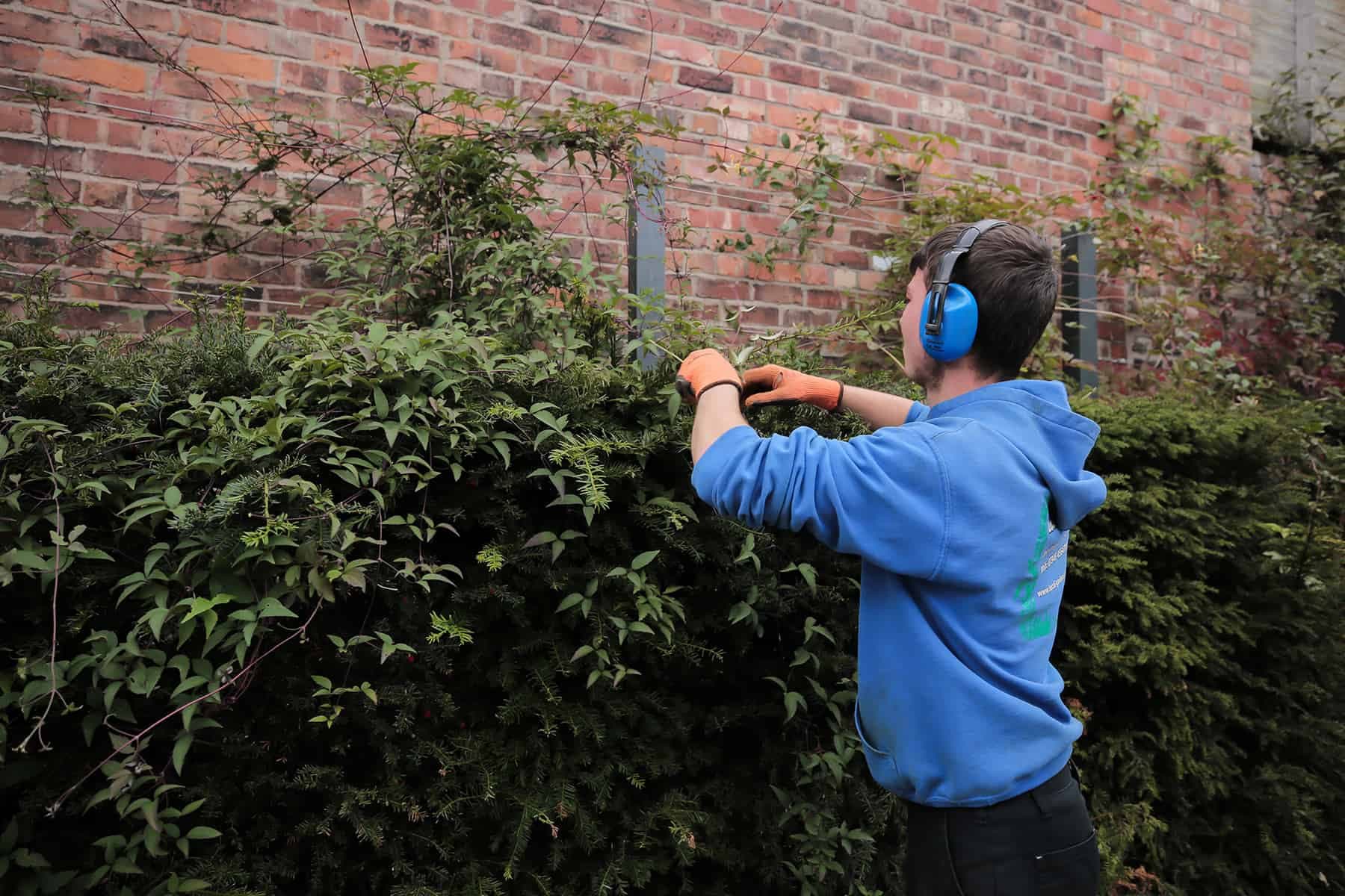 Grounds Maintenance